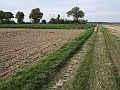 futur trail 004